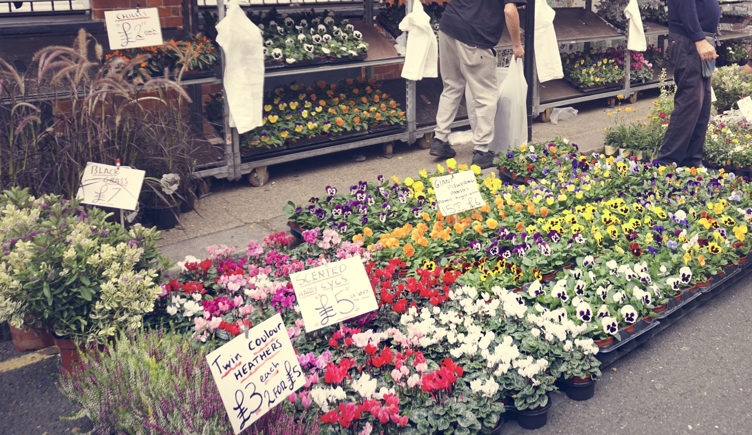 7 reasons why you should shop at your local florist instead of using florist chains